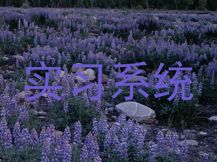实习系统