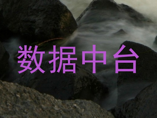 数据中台