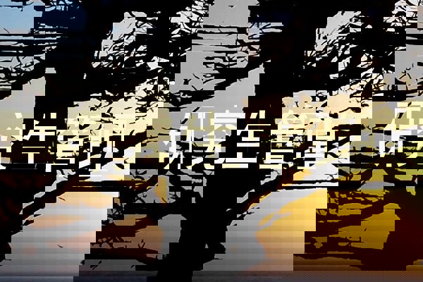 研究生管理