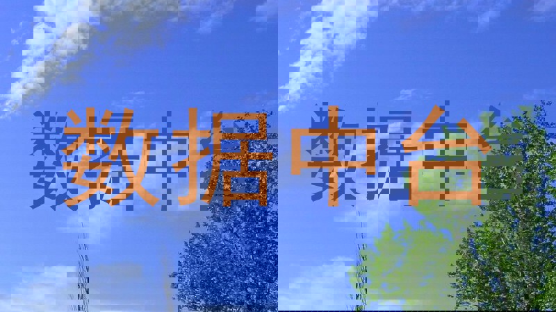 数据中台