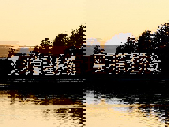 实习管理系统