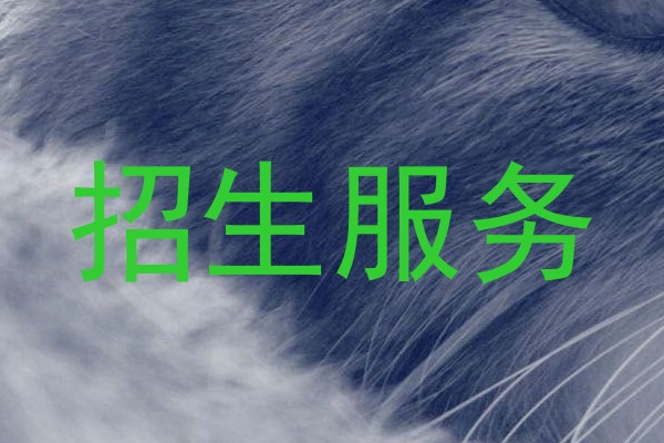 招生服务