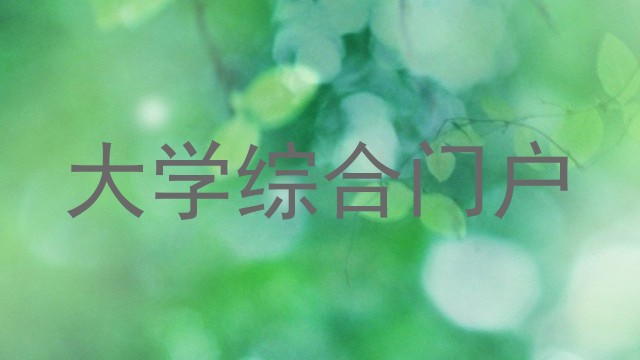 大学综合门户