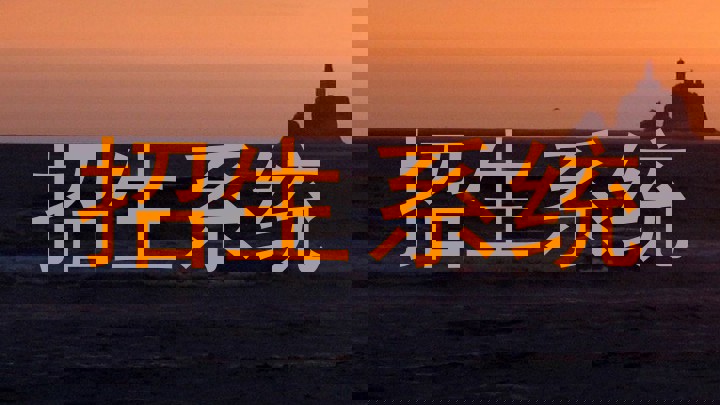 招生系统