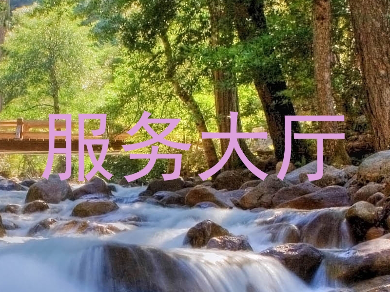 服务大厅