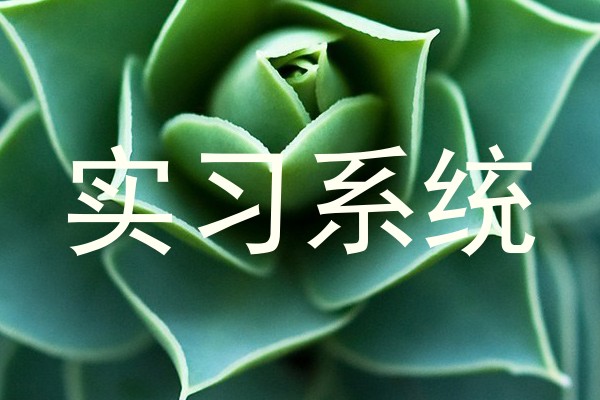实习系统