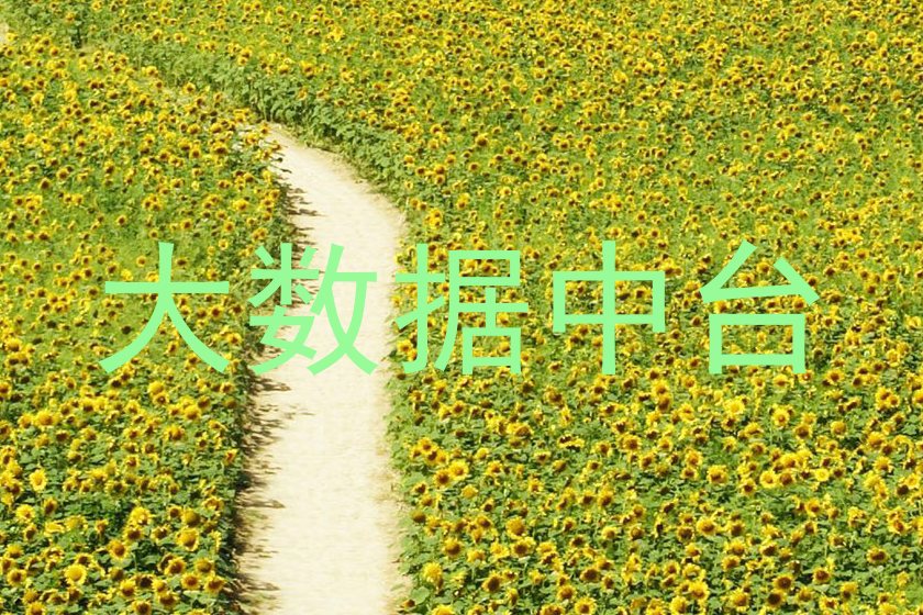 大数据中台