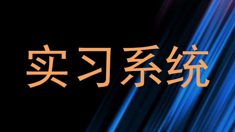 实习系统