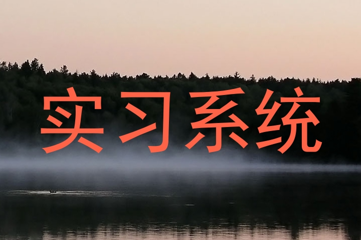 实习系统