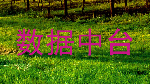 数据中台