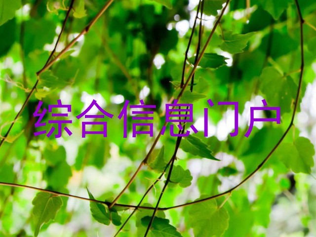 综合信息门户