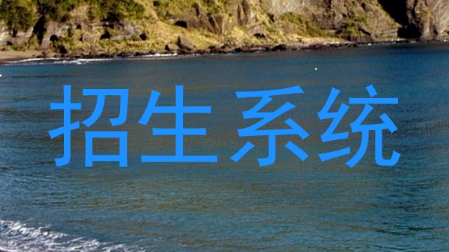 招生系统