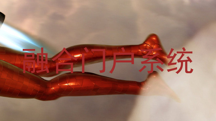 融合门户系统
