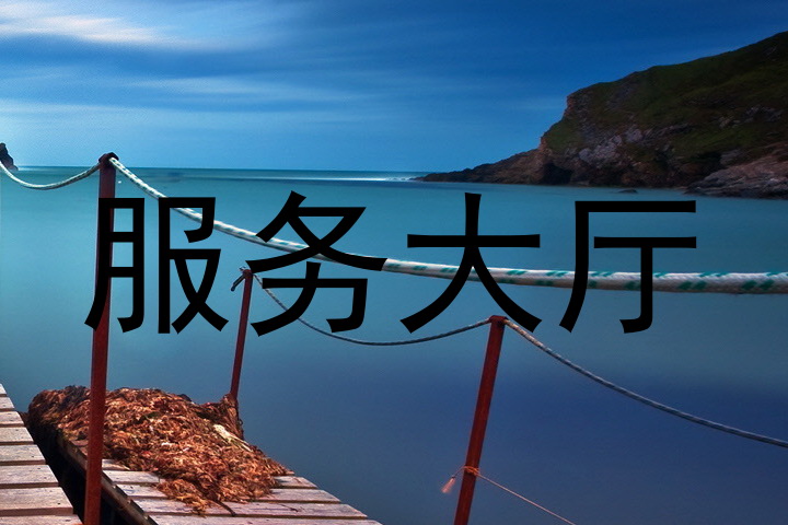 服务大厅