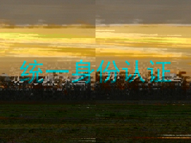 统一身份认证