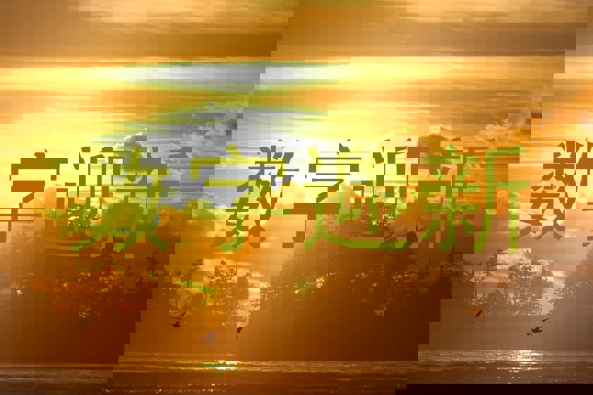 数字迎新