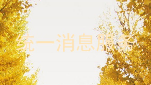 统一消息服务