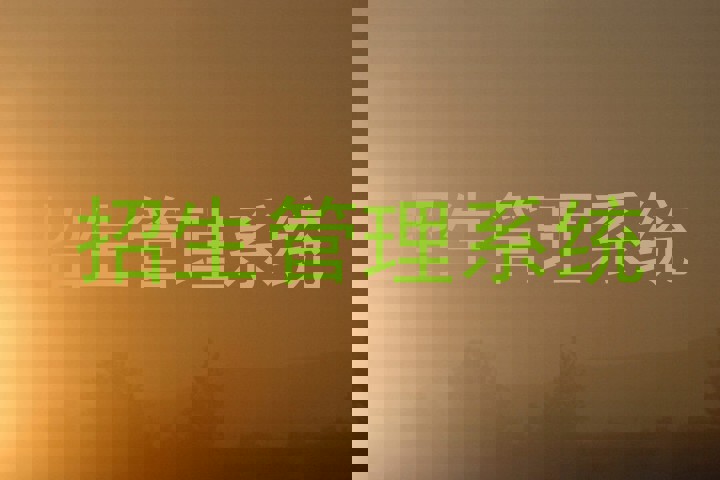 招生管理系统
