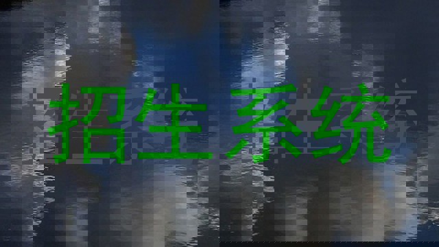 招生系统