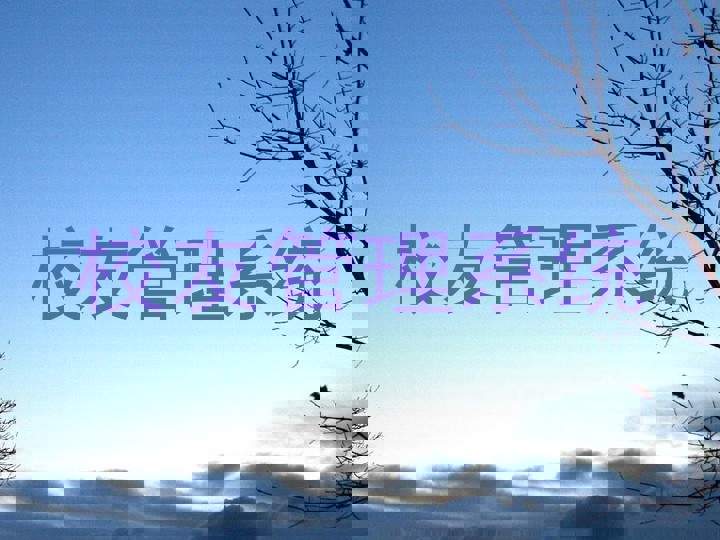 校友管理系统