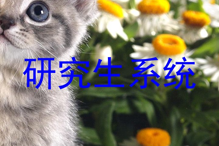 研究生系统