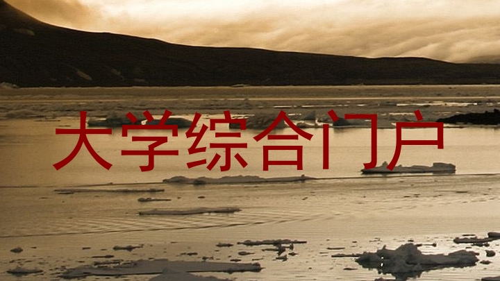 大学综合门户