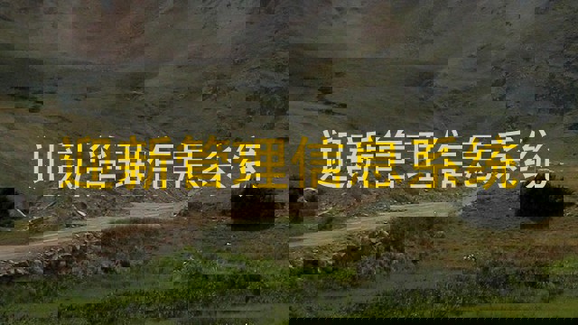 迎新管理信息系统
