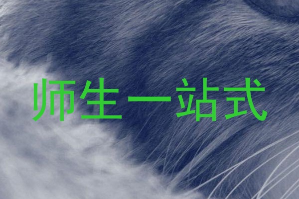 师生一站式