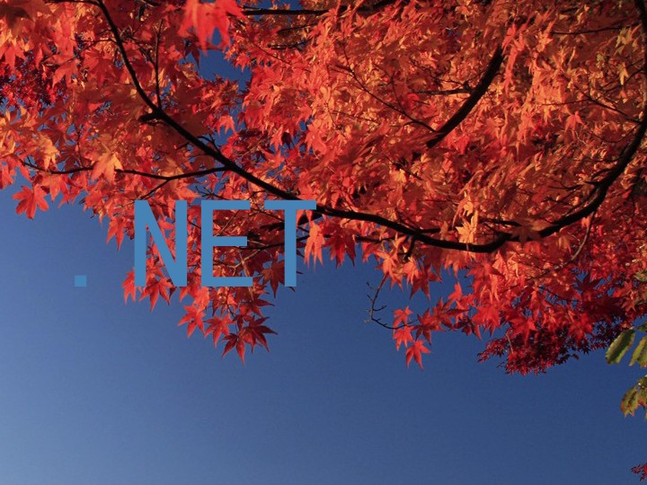 .NET