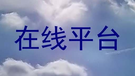 在线平台