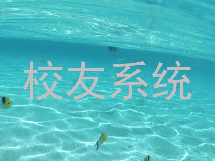 校友系统