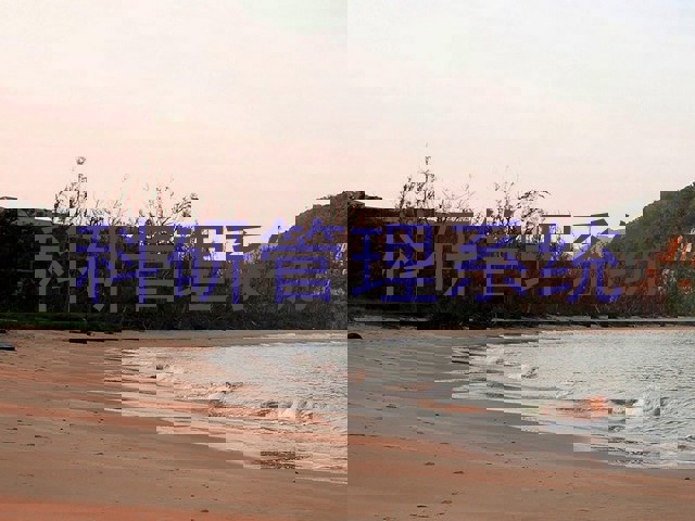 科研管理系统