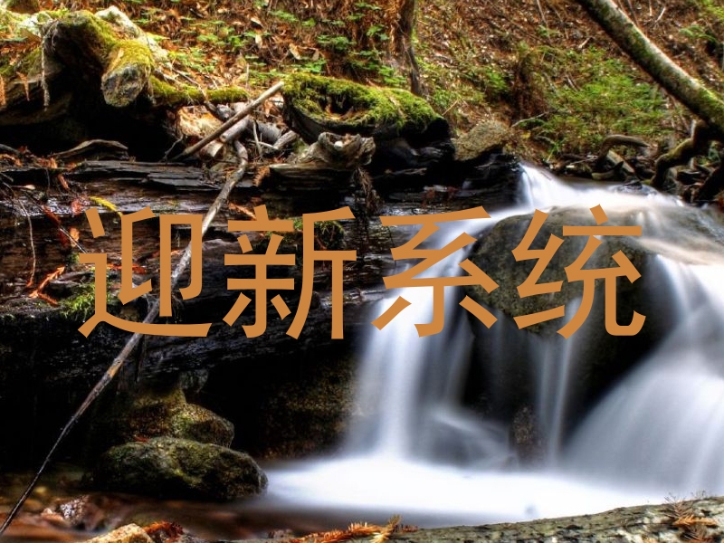 迎新系统