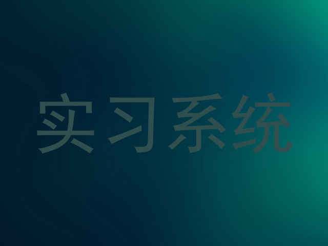 实习系统