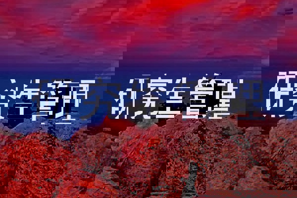 研究生管理