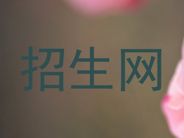 招生网