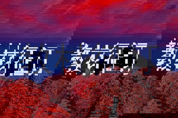 教材征订