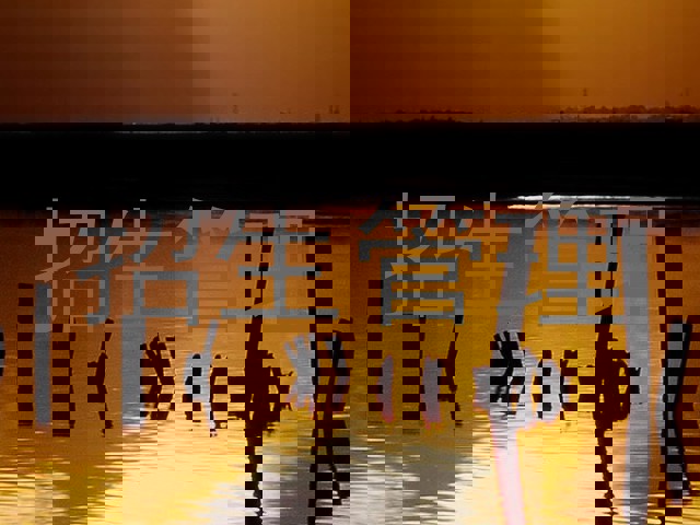 招生管理
