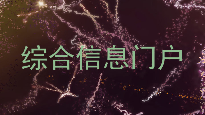 综合信息门户