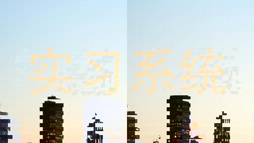 实习系统