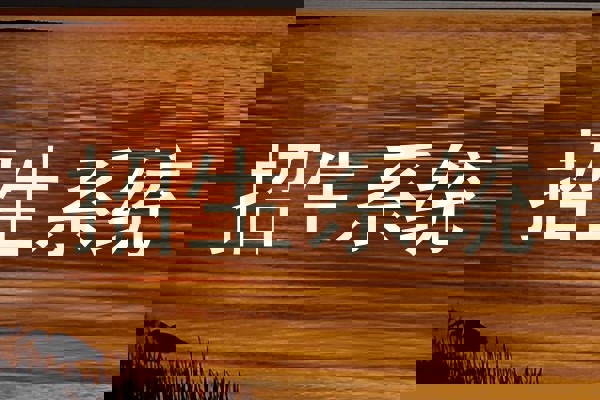 招生系统
