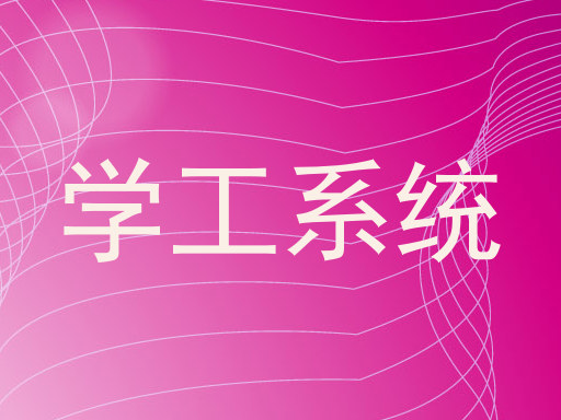 学工系统