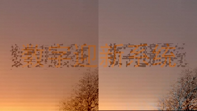 数字迎新系统