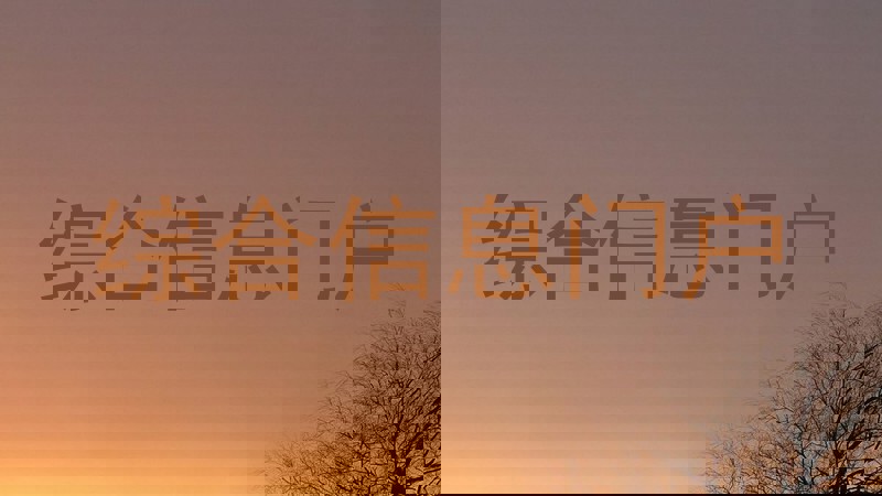 综合信息门户