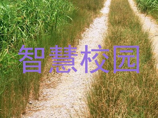 智慧校园