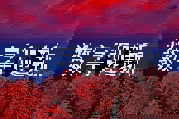 数字迎新