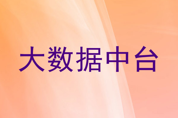 大数据中台