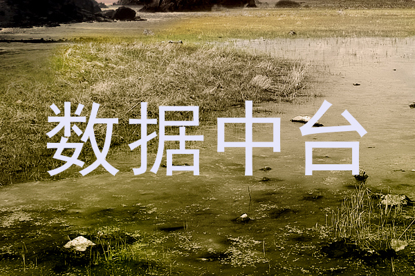 数据中台