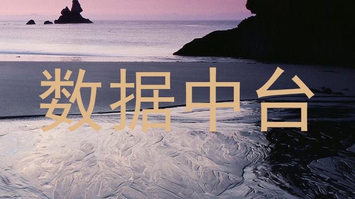 数据中台