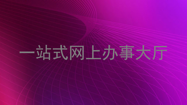一站式网上办事大厅